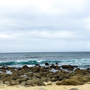 Meet your Posher, Armando